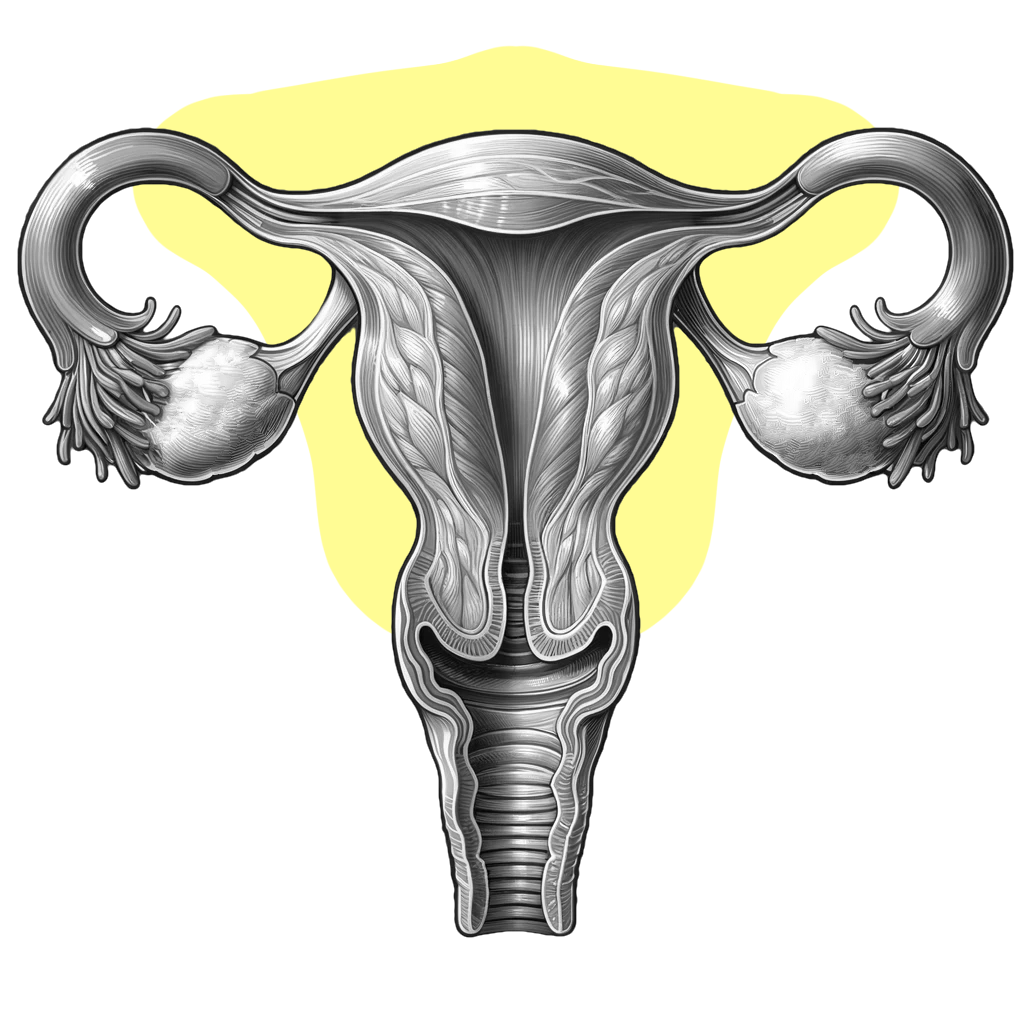 UTERUS IDEA