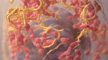 protein folding