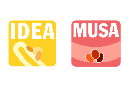 IDEA and MUSA Logo