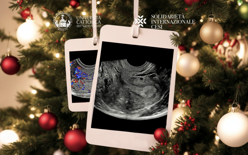 World Christmas Competition in Gynecological Ultrasound