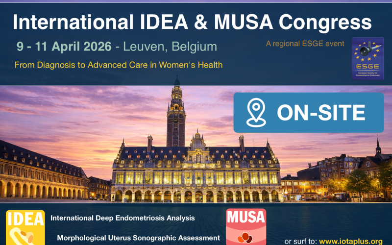 IDEA &amp; MUSA Congress On-site